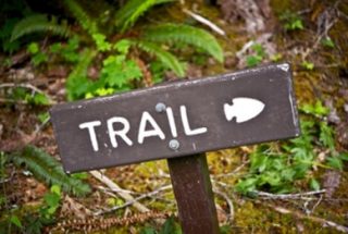 A sign in a natural area reads Trail with an arrowhead pointing right